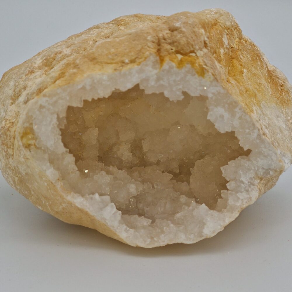 Shop Primary Image